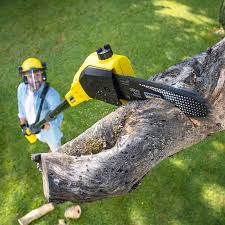 Best Soil Testing and Treatment  in Coldstream, KY
