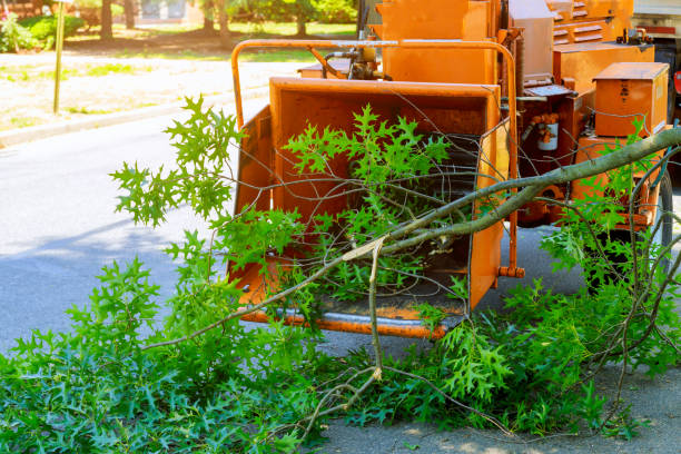 Lawn Grading and Leveling in Coldstream, KY