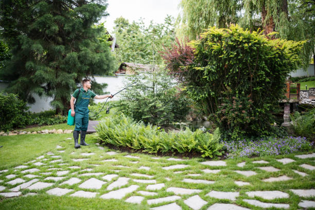 Best Tree Health Inspection  in Coldstream, KY
