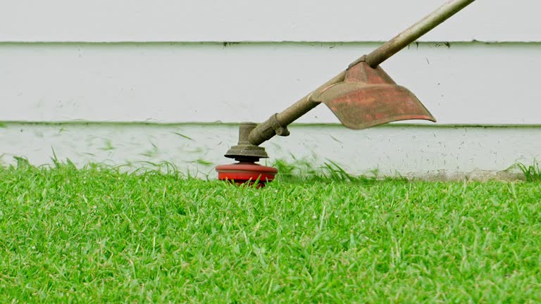 Best Grass Overseeding  in Coldstream, KY