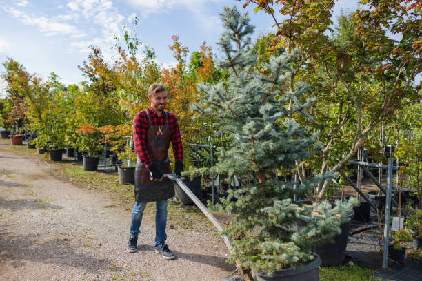 Best Tree Maintenance Programs  in Coldstream, KY