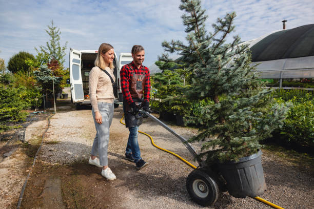 Best Hedge Trimming  in Coldstream, KY
